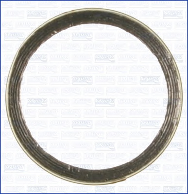 Уплотнительное кольцо, труба выхлопного газа AJUSA 19002400 - Фото #1