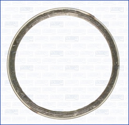Уплотнительное кольцо, труба выхлопного газа AJUSA 19003600 - Фото #1