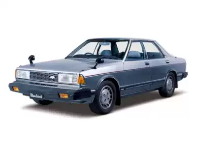 BLUEBIRD (910) BLUEBIRD (910)