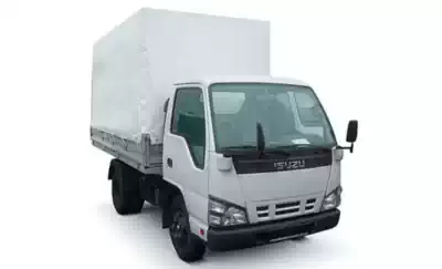 ELF Box (NKR8_) ELF Box (NKR8_)
