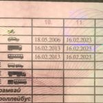 Категорія E: що дає і як отримати у 2026 році